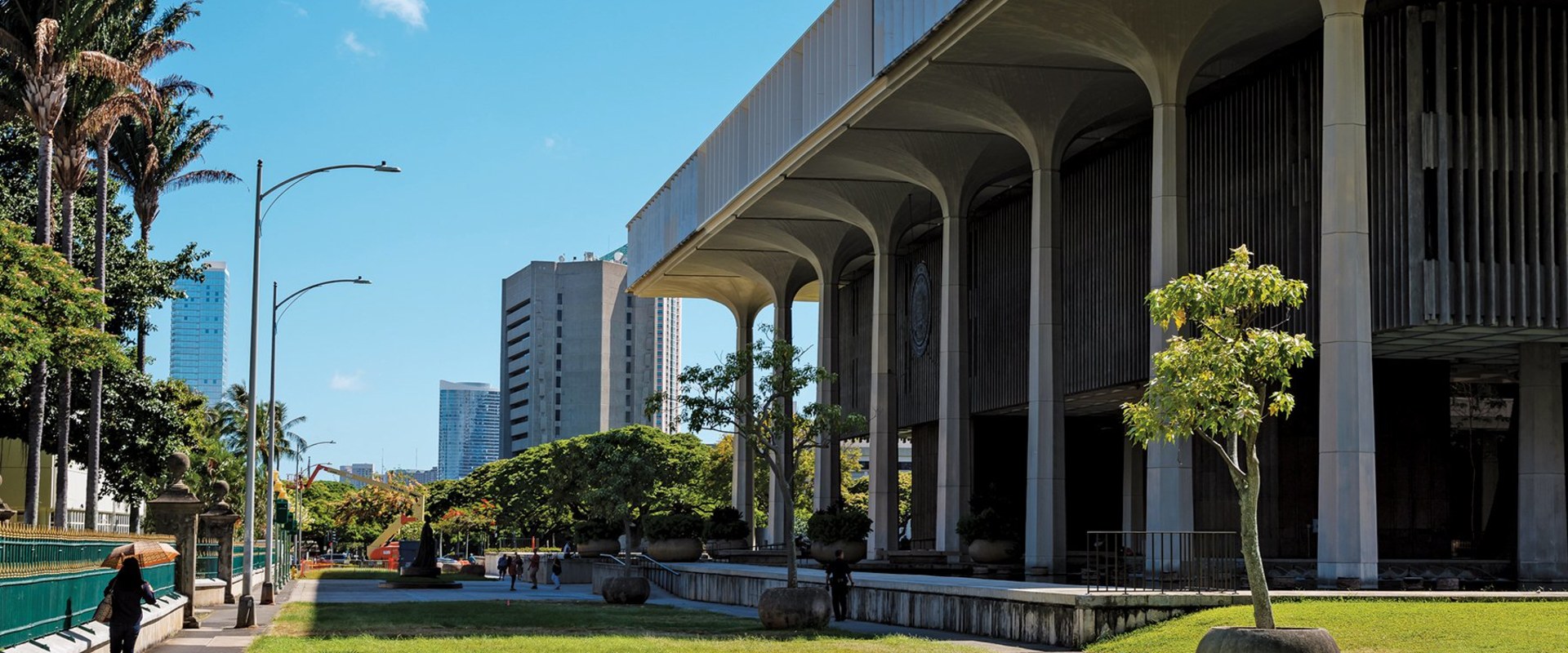 The Process of Political Participation in Honolulu County, Hawaii