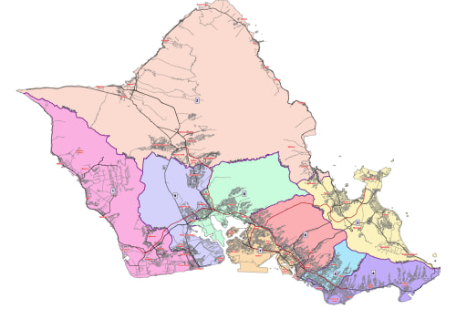 The Political Landscape of Honolulu County, Hawaii